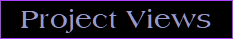 Project Views
